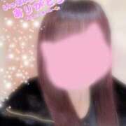 ヒメ日記 2026/02/19 19:50 投稿 みき Ｓ＆Ｍ極嬢