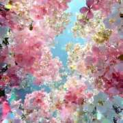 ヒメ日記 2025/08/22 13:45 投稿 まりな 沼津人妻花壇