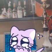 ヒメ日記 2024/12/17 21:12 投稿 あんず 完全密室 無抵抗