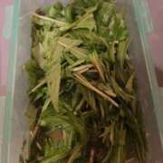 ヒメ日記 2025/01/31 15:54 投稿 あんず 完全密室 無抵抗