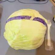 ヒメ日記 2025/06/10 11:05 投稿 あんず 完全密室 無抵抗