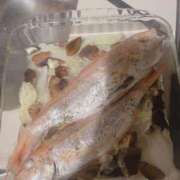 ヒメ日記 2025/11/10 07:23 投稿 あんず 完全密室 無抵抗