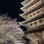 ヒメ日記 2025/04/05 10:39 投稿 しゅり 熟女総本店 堺東店