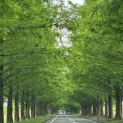 ヒメ日記 2025/05/18 09:49 投稿 しゅり 熟女総本店 堺東店