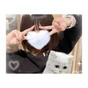 ヒメ日記 2025/07/13 03:03 投稿 えりか 手コキガールズコレクション