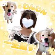 ヒメ日記 2025/11/17 16:13 投稿 えりか 手コキガールズコレクション