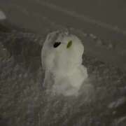 ヒメ日記 2026/02/02 00:03 投稿 えりか 手コキガールズコレクション