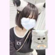 ヒメ日記 2026/02/05 13:23 投稿 えりか 手コキガールズコレクション