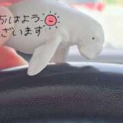 ヒメ日記 2025/04/22 09:24 投稿 あこ 美熟女倶楽部Hip's 春日部店