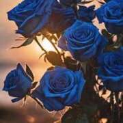 ヒメ日記 2025/05/11 21:33 投稿 たまき 丸妻 厚木店