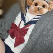 ヒメ日記 2025/04/15 11:48 投稿 かいり ときめき女学院