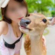 ヒメ日記 2025/11/15 23:29 投稿 凜々子 夕月