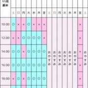 ヒメ日記 2025/10/31 17:09 投稿 景子 夕月
