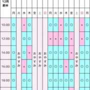 ヒメ日記 2025/11/30 00:39 投稿 景子 夕月
