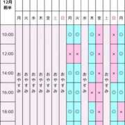 ヒメ日記 2025/12/08 22:39 投稿 景子 夕月