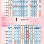 ヒメ日記 2025/12/27 21:39 投稿 景子 夕月