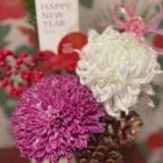 ヒメ日記 2026/01/04 01:09 投稿 景子 夕月