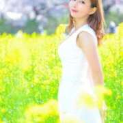 ヒメ日記 2026/02/05 12:19 投稿 景子 夕月