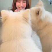 ヒメ日記 2026/02/10 08:19 投稿 景子 夕月