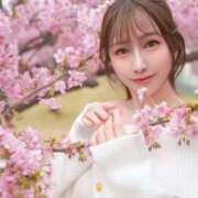 ヒメ日記 2026/03/08 13:09 投稿 景子 夕月