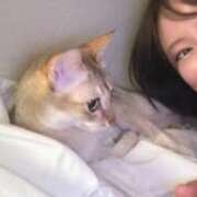 ヒメ日記 2026/03/21 20:09 投稿 景子 夕月