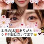 ヒメ日記 2026/04/01 14:49 投稿 景子 夕月