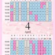 ヒメ日記 2026/04/02 16:49 投稿 景子 夕月