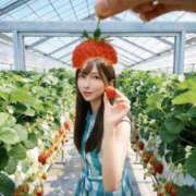 ヒメ日記 2026/04/06 00:09 投稿 景子 夕月