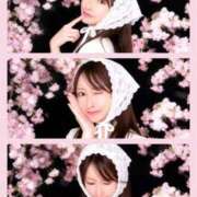 ヒメ日記 2026/04/15 11:59 投稿 景子 夕月