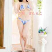 ヒメ日記 2025/10/30 08:39 投稿 櫻子 夕月