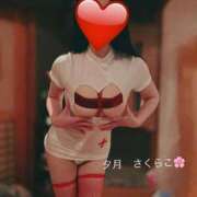 ヒメ日記 2025/11/10 07:29 投稿 櫻子 夕月