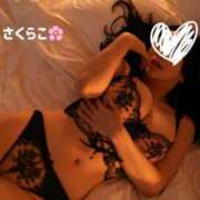 ヒメ日記 2025/12/03 11:09 投稿 櫻子 夕月