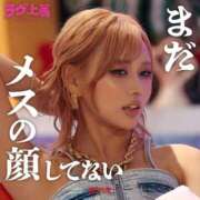 ヒメ日記 2025/12/27 07:19 投稿 櫻子 夕月