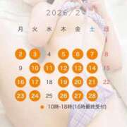 ヒメ日記 2026/01/22 06:39 投稿 櫻子 夕月