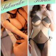 ヒメ日記 2026/02/20 06:39 投稿 櫻子 夕月