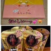 ヒメ日記 2026/02/22 06:39 投稿 櫻子 夕月