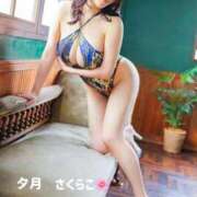 ヒメ日記 2026/04/14 06:39 投稿 櫻子 夕月