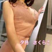 ヒメ日記 2026/07/18 09:11 投稿 櫻子 夕月