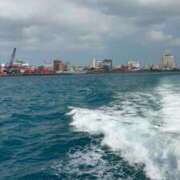 ヒメ日記 2025/11/25 12:19 投稿 彩乃 夕月