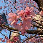 ヒメ日記 2026/03/24 10:59 投稿 彩乃 夕月