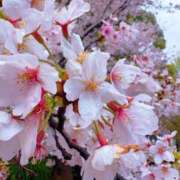 ヒメ日記 2026/04/04 21:40 投稿 彩乃 夕月