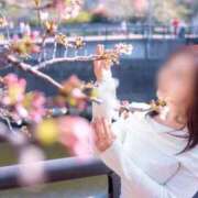 ヒメ日記 2026/04/05 11:49 投稿 彩乃 夕月