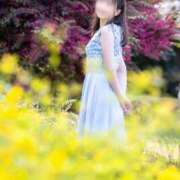 ヒメ日記 2026/05/14 20:13 投稿 里帆 夕月
