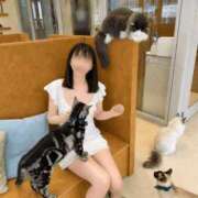 ヒメ日記 2026/06/04 22:19 投稿 里帆 夕月