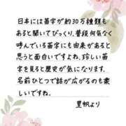ヒメ日記 2026/08/12 12:09 投稿 里帆 夕月