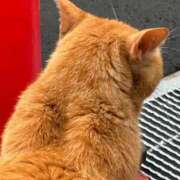 ヒメ日記 2025/06/27 15:26 投稿 さゆり 熟女家 京橋店