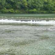 ヒメ日記 2025/07/31 21:26 投稿 さゆり 熟女家 京橋店