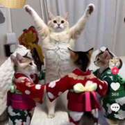 ヒメ日記 2025/09/07 20:26 投稿 さゆり 熟女家 京橋店