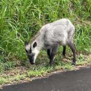 ヒメ日記 2025/09/14 18:56 投稿 さゆり 熟女家 京橋店