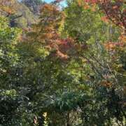 ヒメ日記 2025/11/07 00:46 投稿 さゆり 熟女家 京橋店